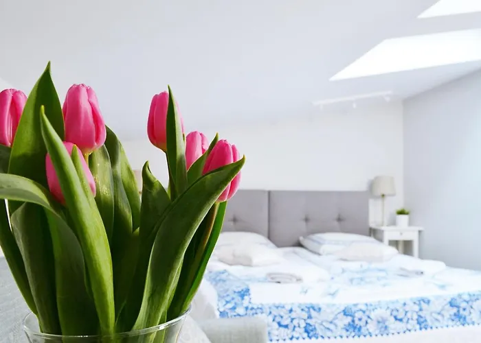 21 Floriańska Street Kraków